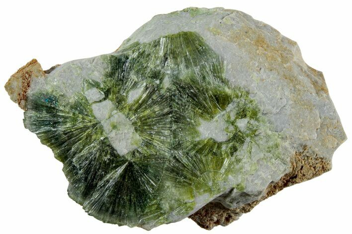 Radiating, Green Wavellite Crystal Aggregation - Arkansas #213311